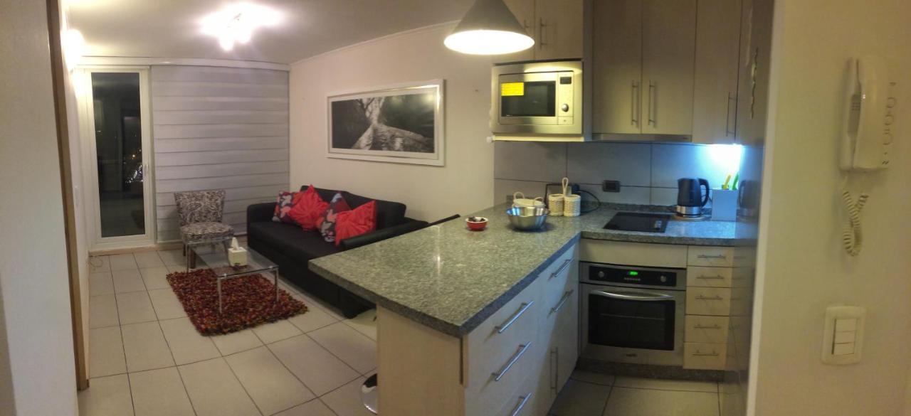 Appartamento Departamento De Lujo 1 En Barrio Bellavista Santiago del Cile Esterno foto